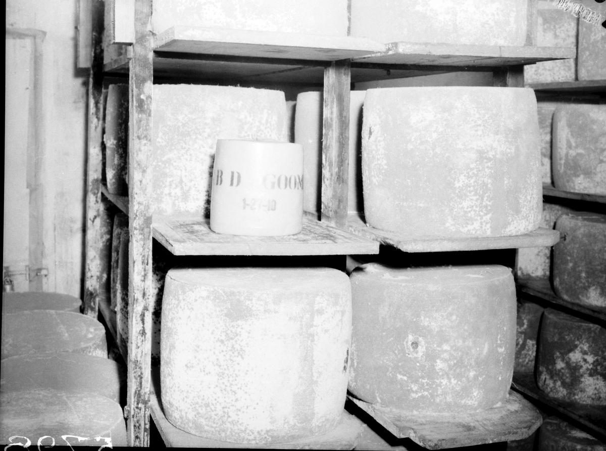 Cheeses, Maxam cold store, South Brisbane, March 1955