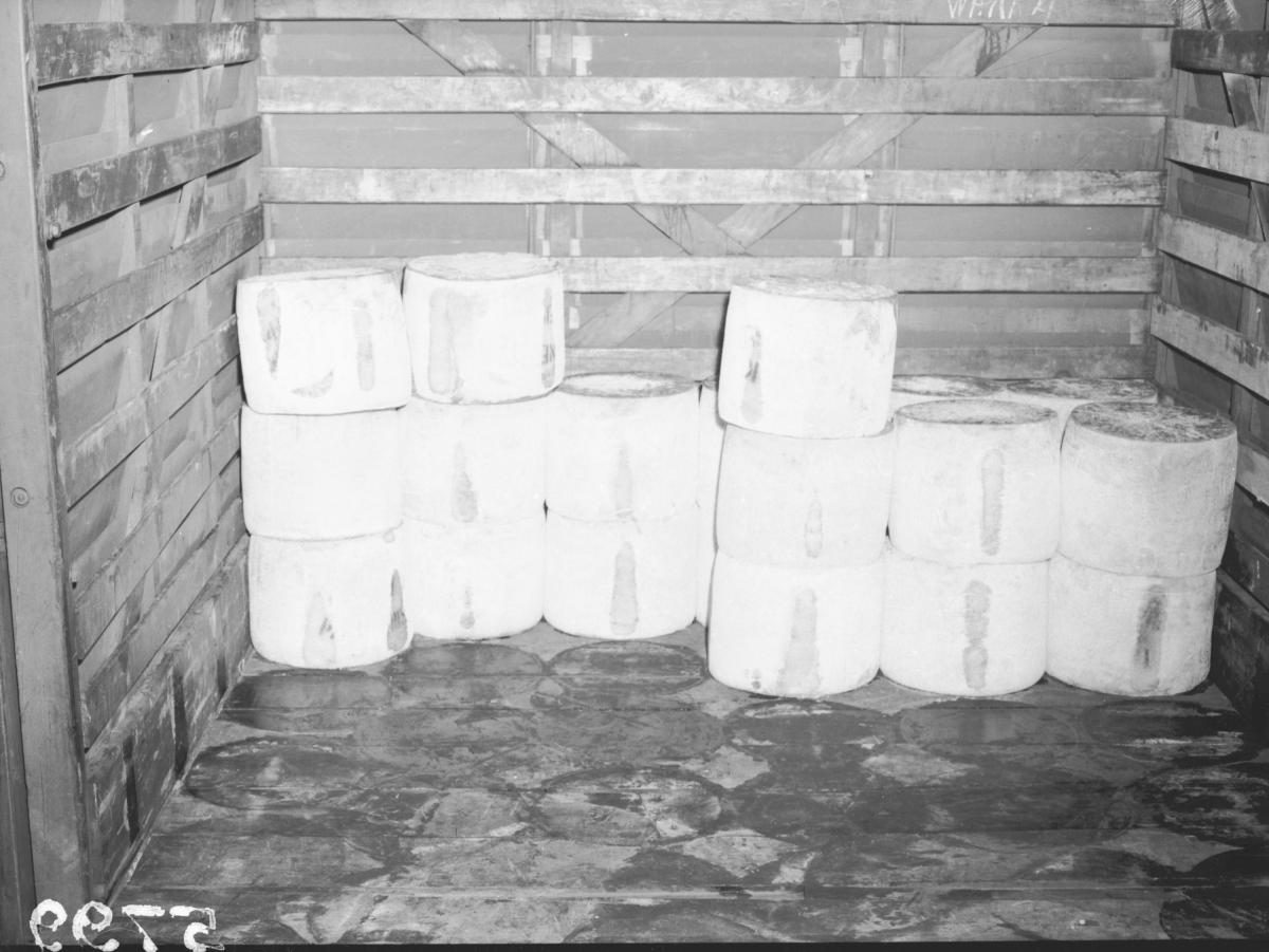 Cheeses, Maxam cold store, South Brisbane, March 1955