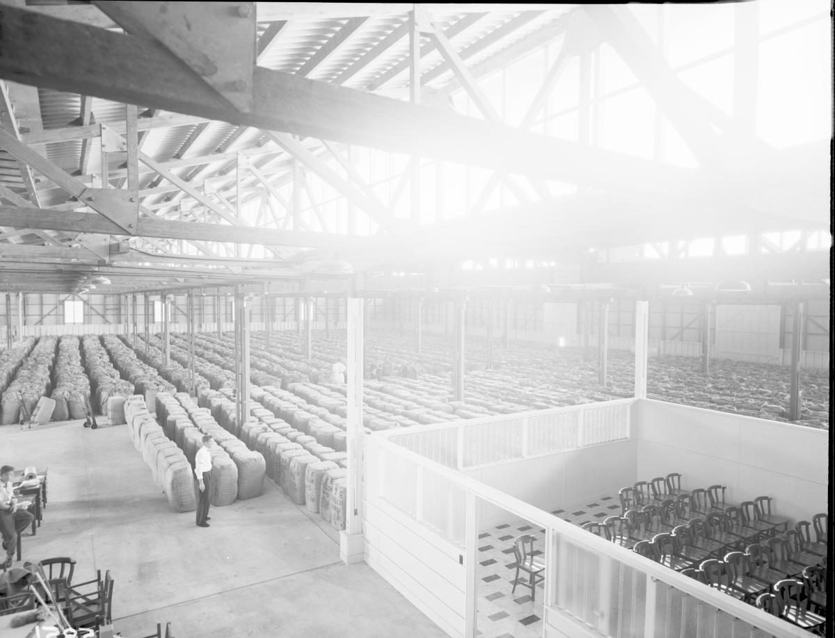 South Queensland Tobacco Growers Association Building, Northgate, Brisbane, June 1955