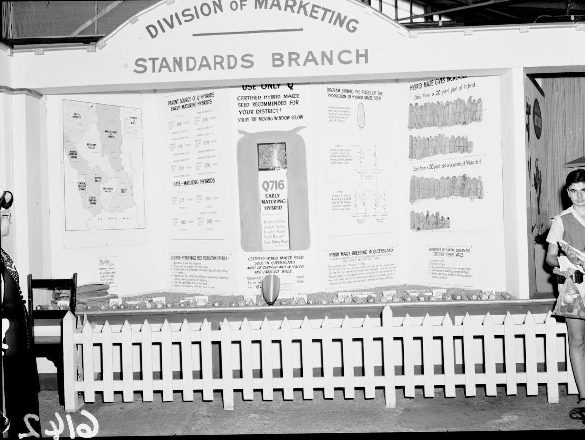 Department of Agriculture and Stock displays at the annual exhibition of the Royal National Association, Brisbane, August 1955