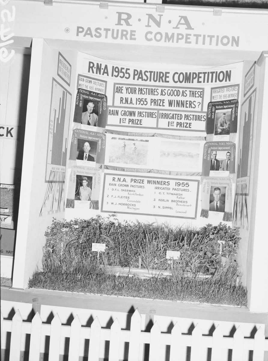 Department of Agriculture and Stock displays at the annual exhibition of the Royal National Association, Brisbane, August 1955