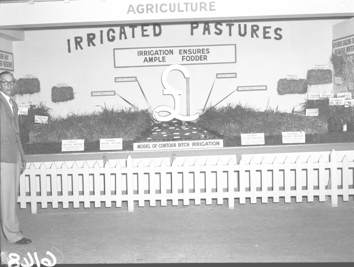 Department of Agriculture and Stock displays at the annual exhibition of the Royal National Association, Brisbane, August 1955