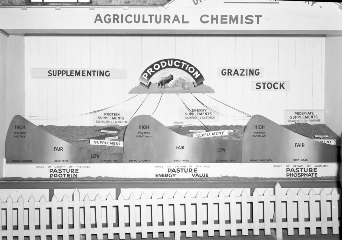 Department of Agriculture and Stock displays at the annual exhibition of the Royal National Association, Brisbane, August 1955