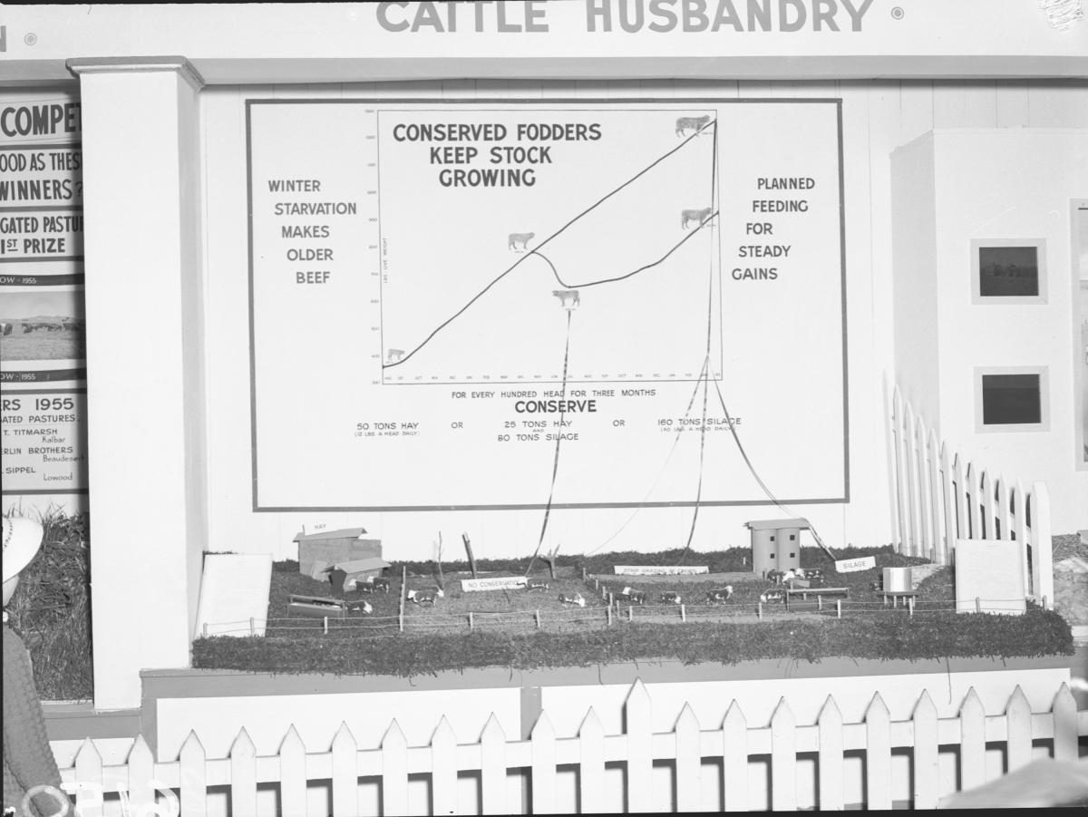 Department of Agriculture and Stock displays at the annual exhibition of the Royal National Association, Brisbane, August 1955