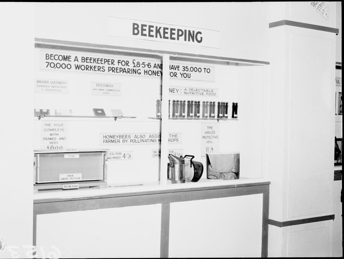 Department of Agriculture and Stock displays at the annual exhibition of the Royal National Association, Brisbane, August 1955