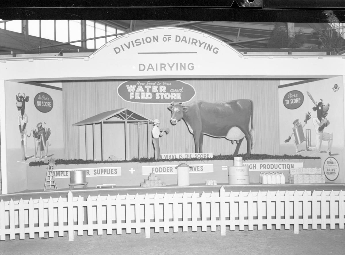 Department of Agriculture and Stock displays at the annual exhibition of the Royal National Association, Brisbane, August 1955