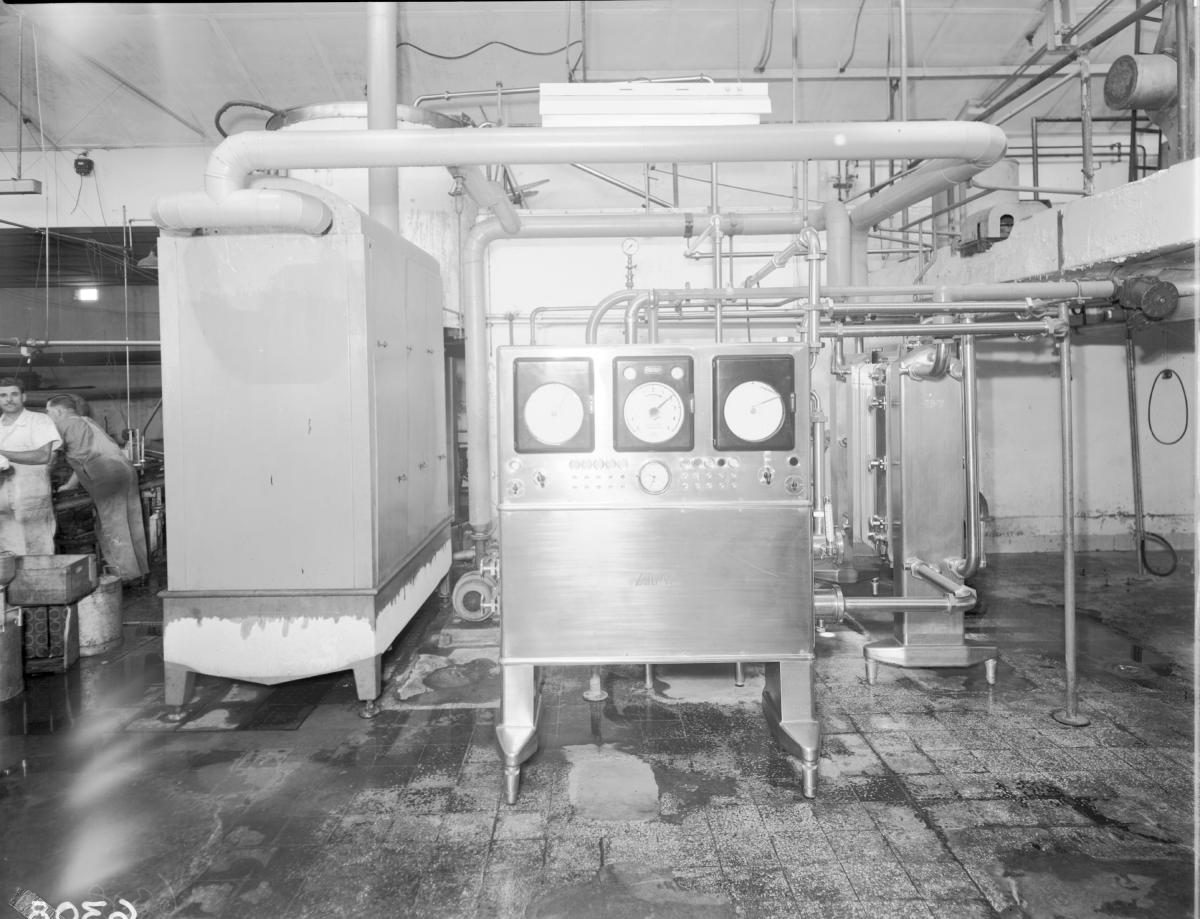 A P V milk pasteurisation and cooling equipment, Peters Ltd, Brisbane, November 1955