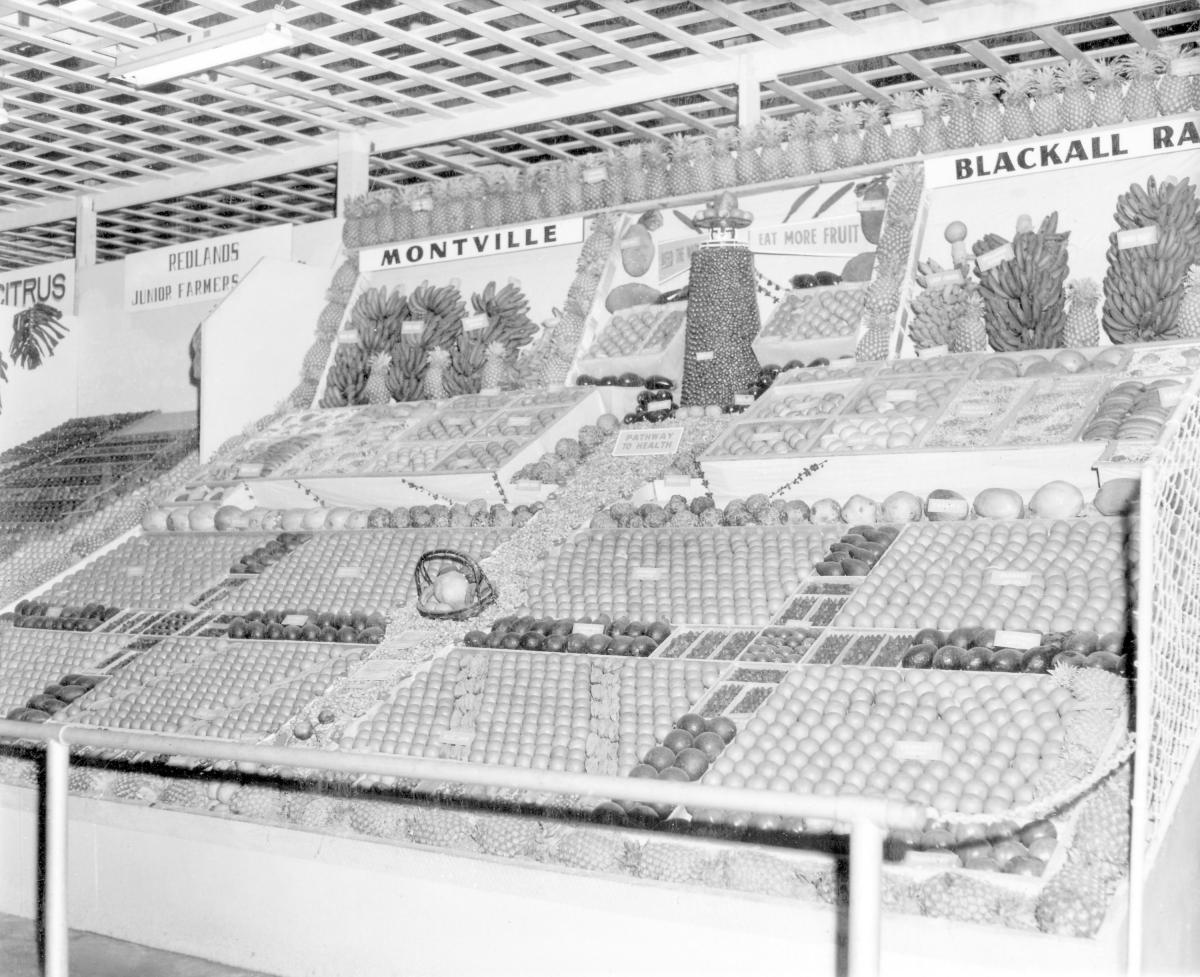 Montville, Blackall Range, fruit exhibit at the Royal National Show, Brisbane, August 1958