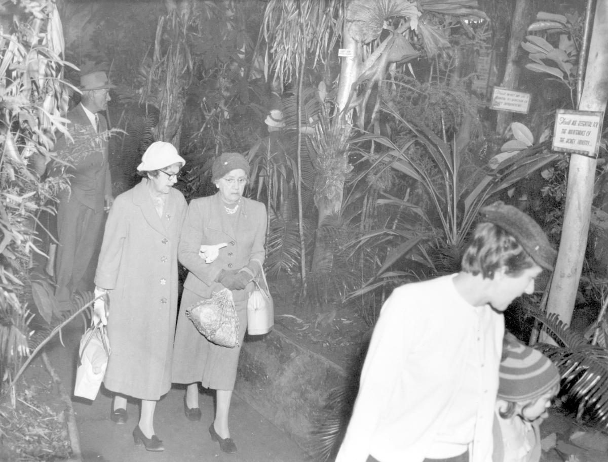 Forestry Department exhibit at the Royal National Show, Brisbane, August 1960