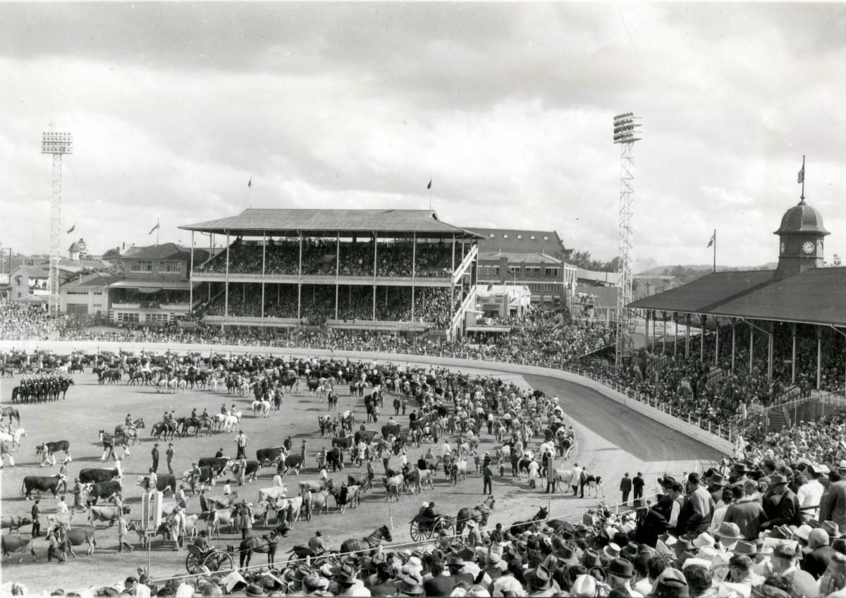 Grand Parade in the main arena at the Royal National Show, Brisbane, August 1963