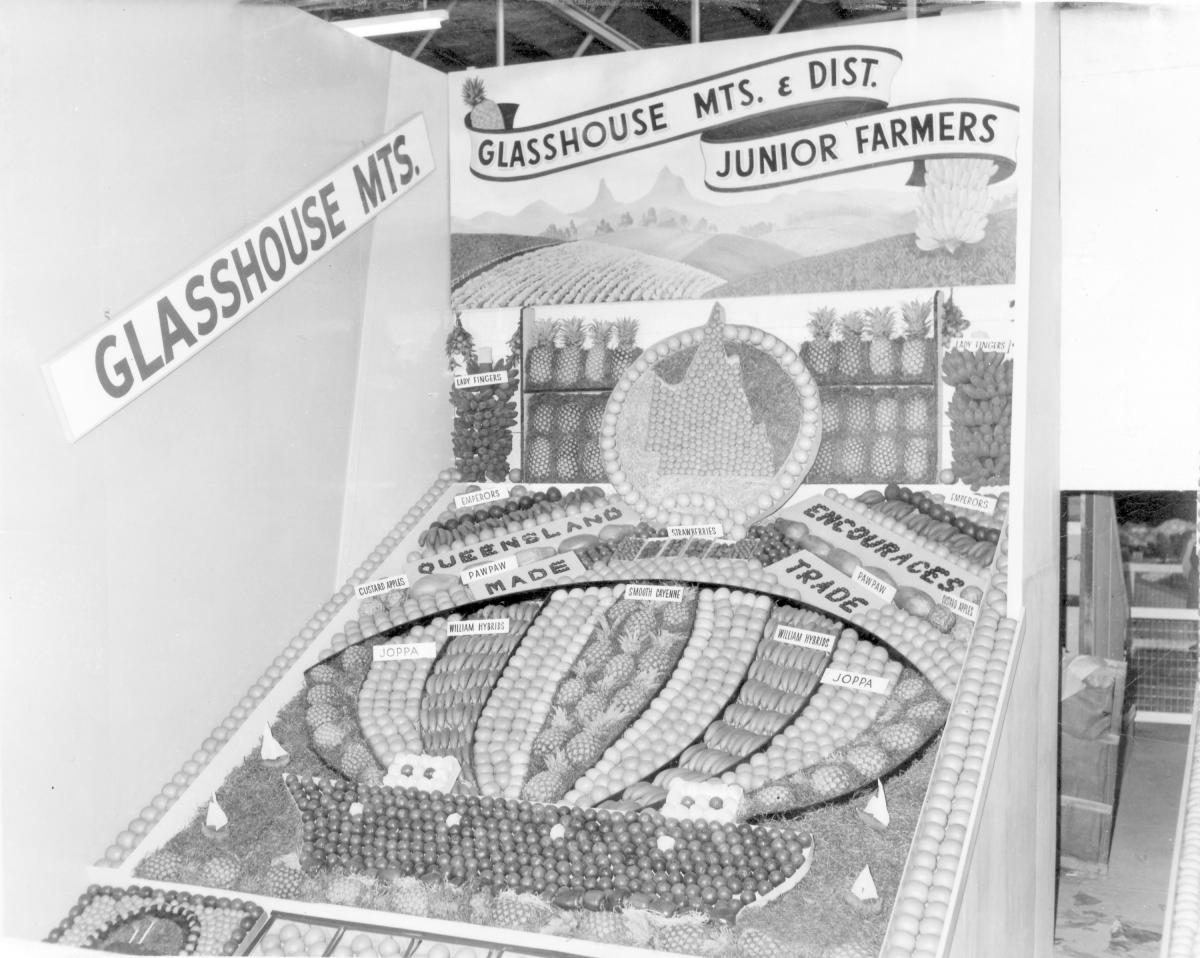 Glasshouse Mountains junior farmers exhibit at the Royal National Show, Brisbane, August 1964