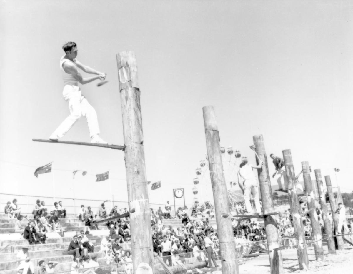 Tree felling contest at the Royal National Show, Brisbane, August 1969