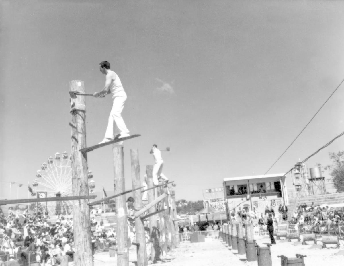Tree felling contest at the Royal National Show, Brisbane, August 1969