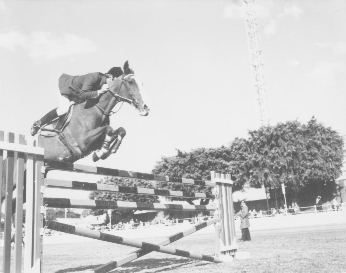 Jumping event at the Royal National Show, Brisbane, August 1972