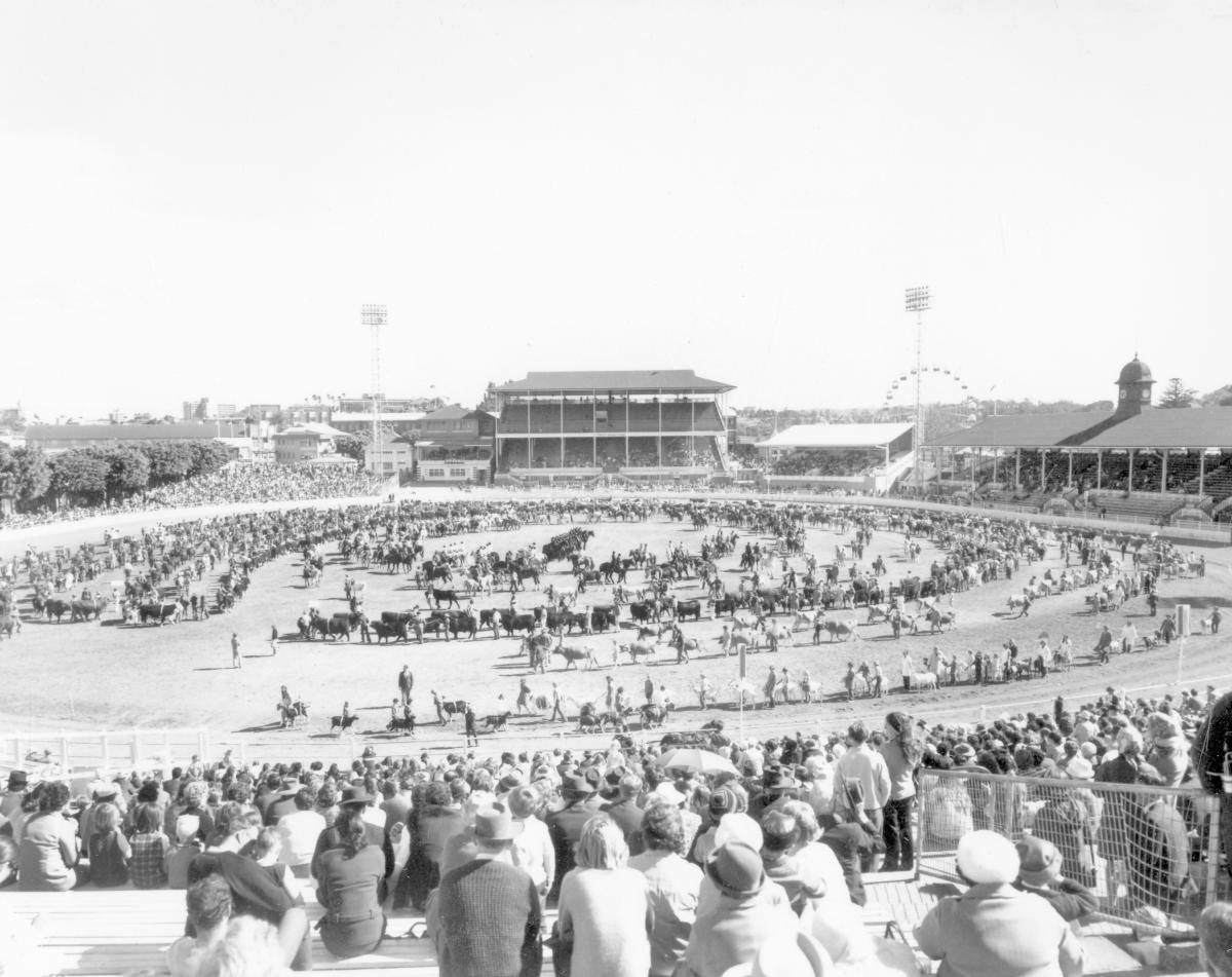 Grand Parade at the Royal National Show, Brisbane, August 1972