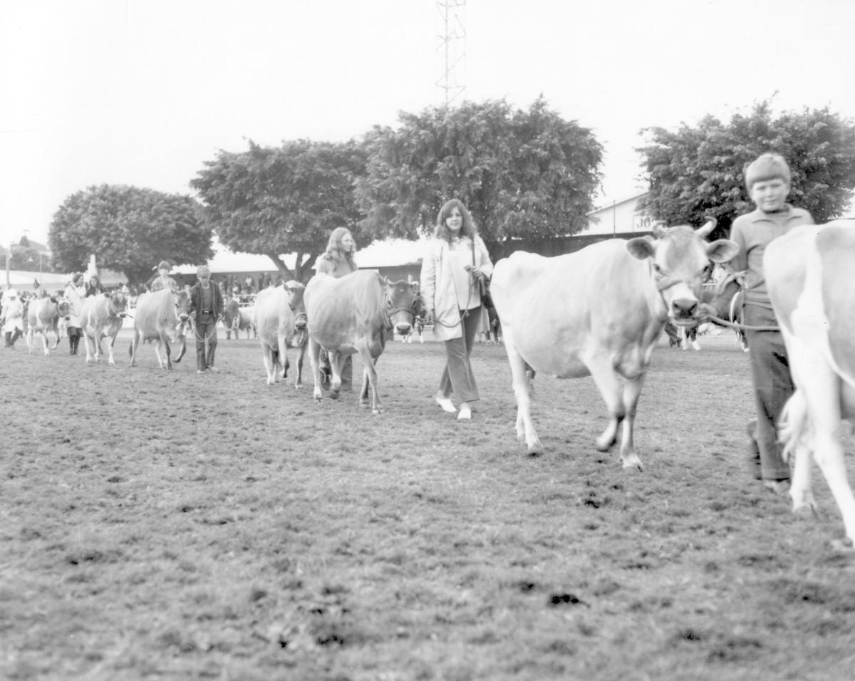 Grand Parade at the Royal National Show, Brisbane, August 1972