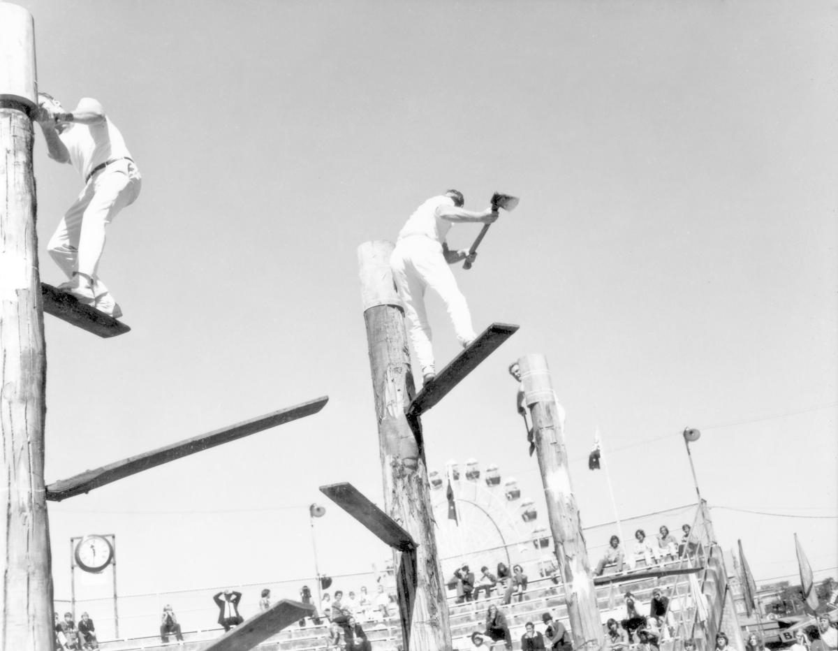 Tree felling contest at the Royal National Show, Brisbane, August 1972