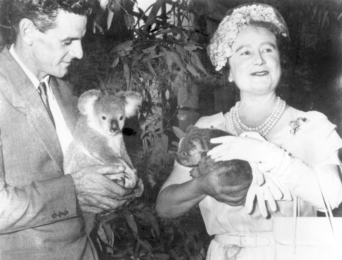 Her Majesty Queen Elizabeth The Queen Mother cuddling a koala, Brisbane, 1958