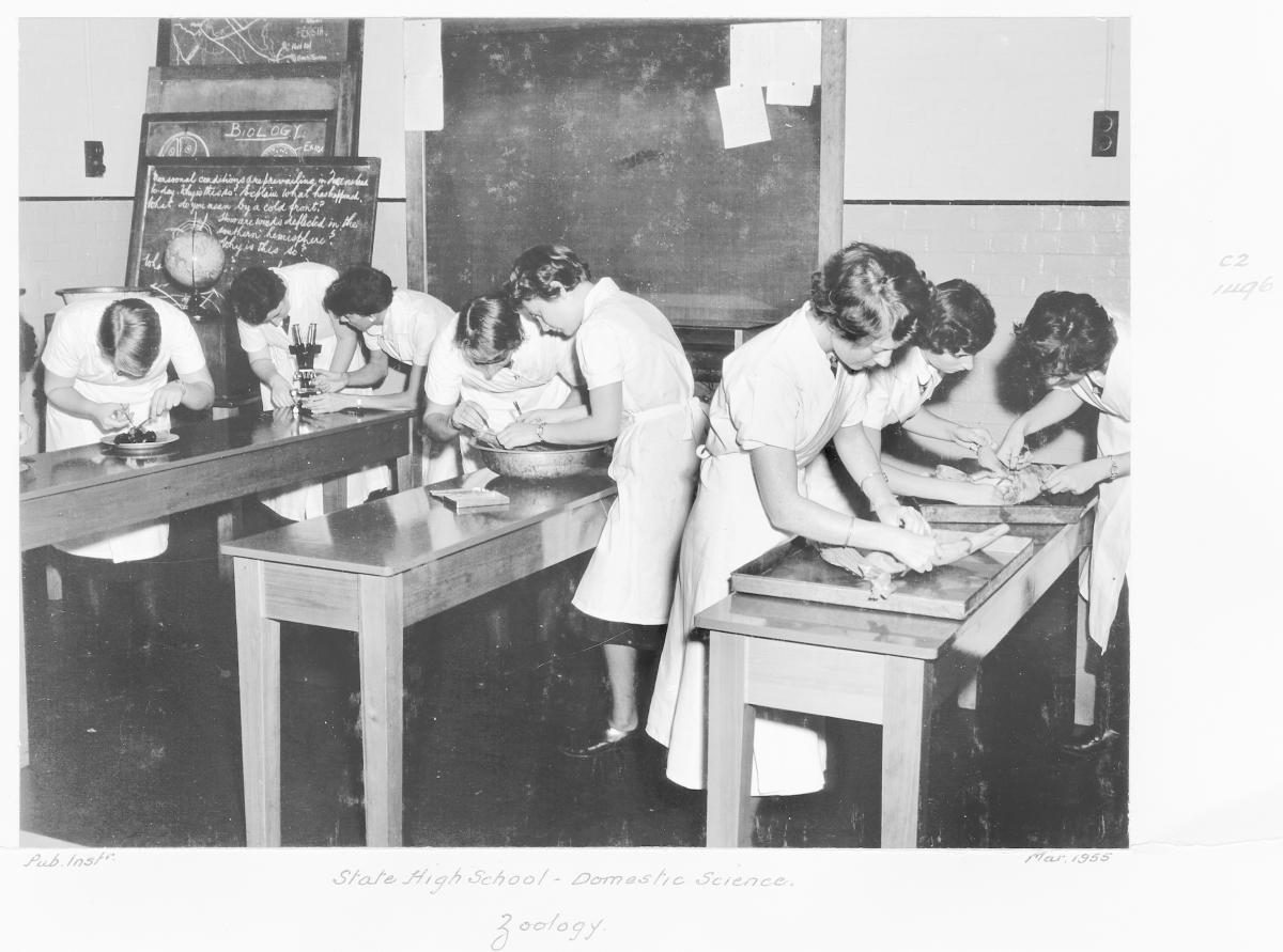 State High School, Domestic Science, Zoology - Brisbane, March 1955