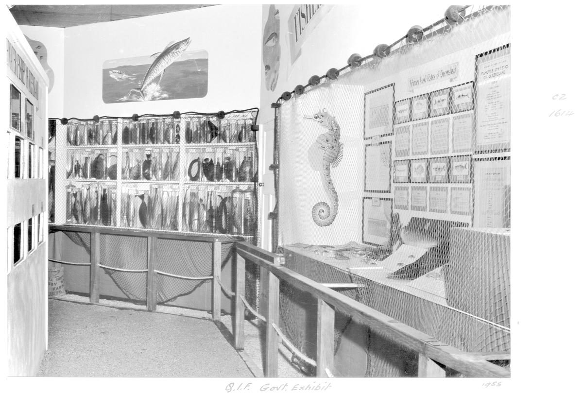 Queensland Industries Fair, Government exhibit, Agriculture and Stock Department, Fisheries Branch - Brisbane, April-May 1955