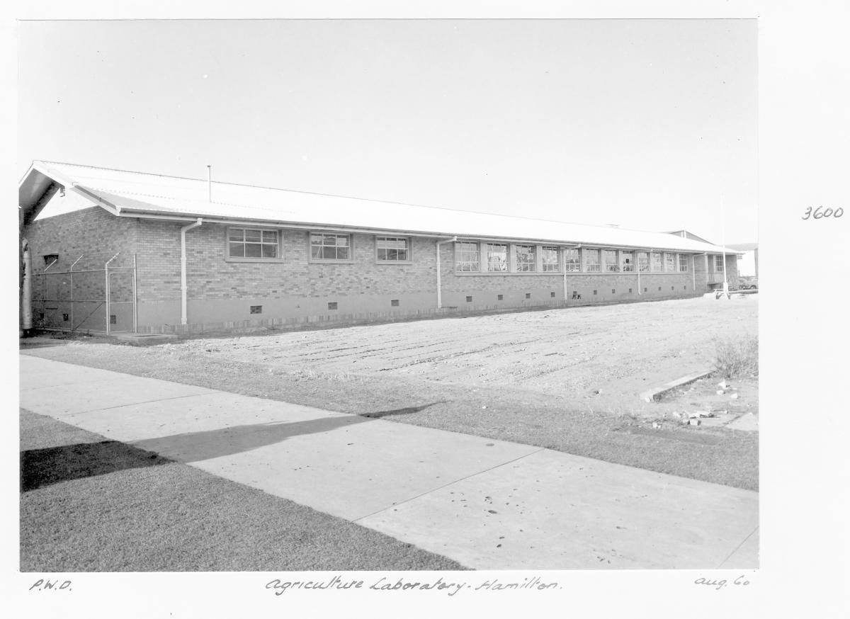 Agriculture laboratory, Hamilton - Brisbane, August 1960