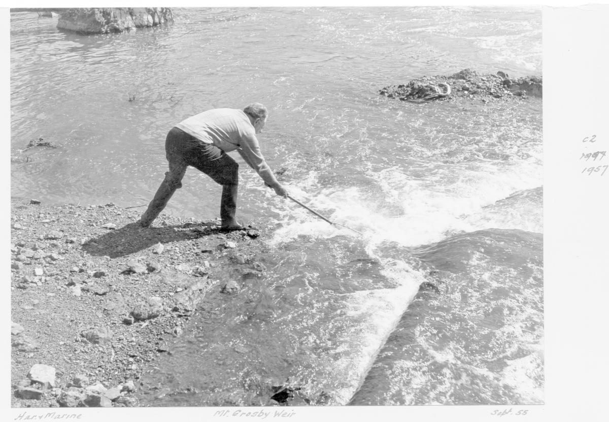 Fish sampling in Mount Crosby Weir, Brisbane, September 1955