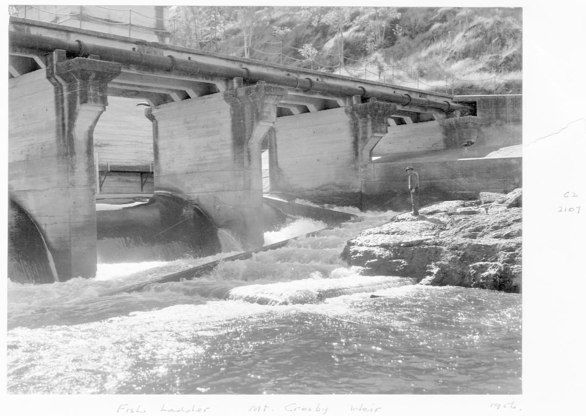 Fish ladder, Mount Crosby Weir - Brisbane, 1956