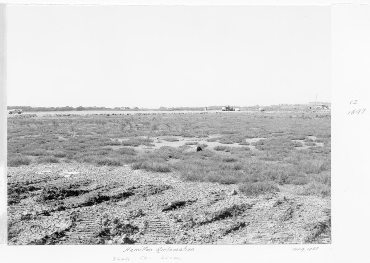 Reclamation for the Shell Company at Hamilton - Brisbane, August 1955