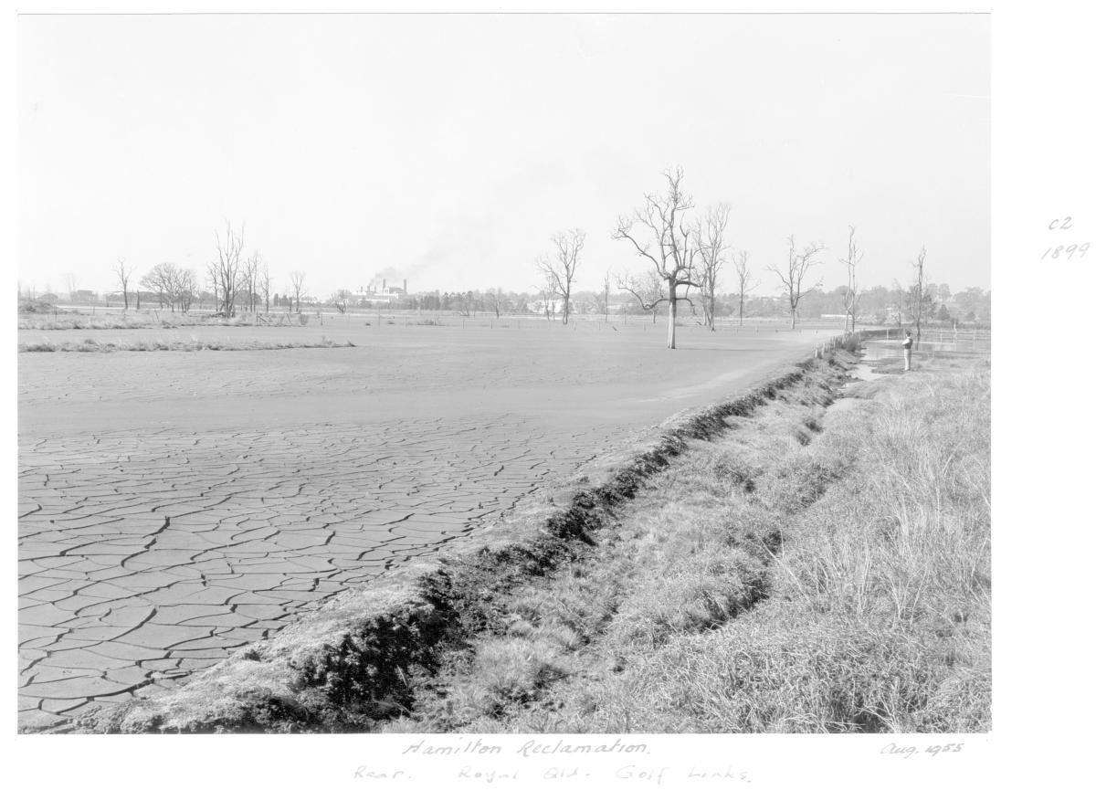 Reclamation, rear area of Royal Queensland Golf Lilnks at Hamilton - Brisbane, August 1955