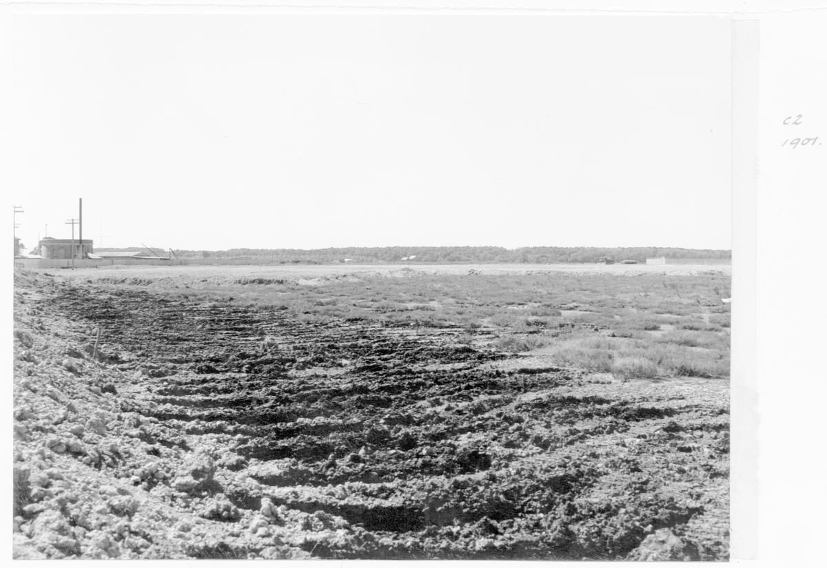 Land reclamation, Hamilton - Brisbane, August 1955