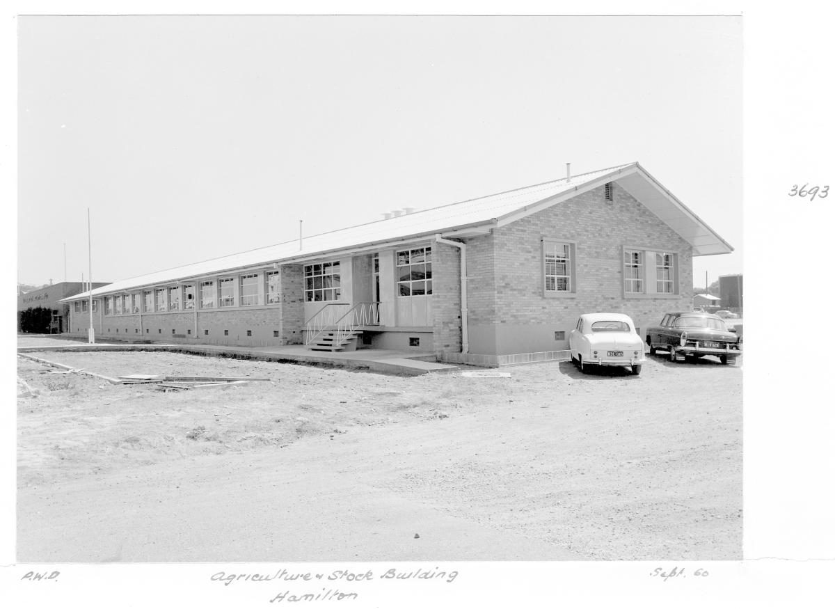 Construction of Agriculture and Stock building at Hamilton - Brisbane, September 1960
