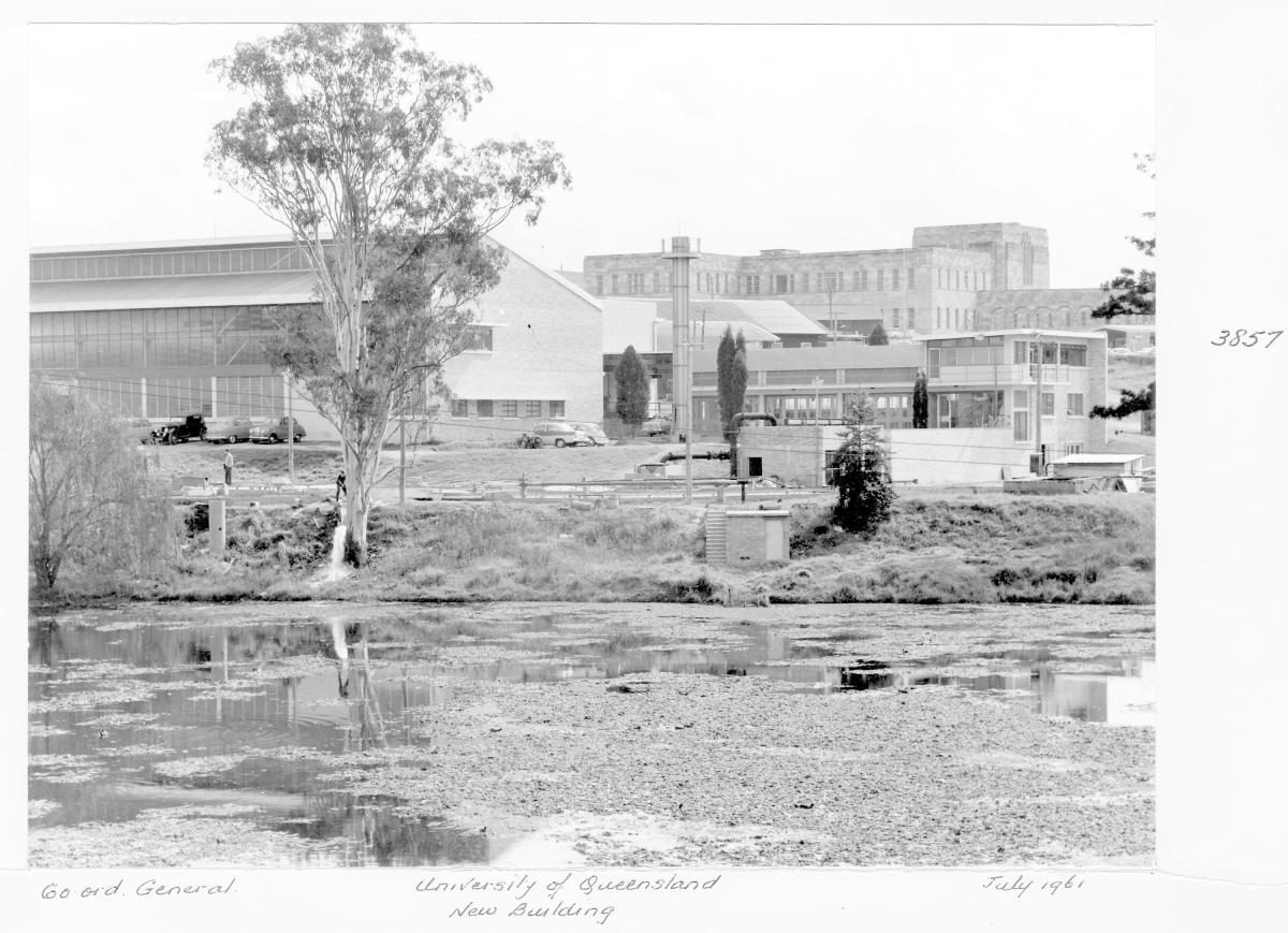 University of Queensland new building at St Lucia - Brisbane, July 1961
