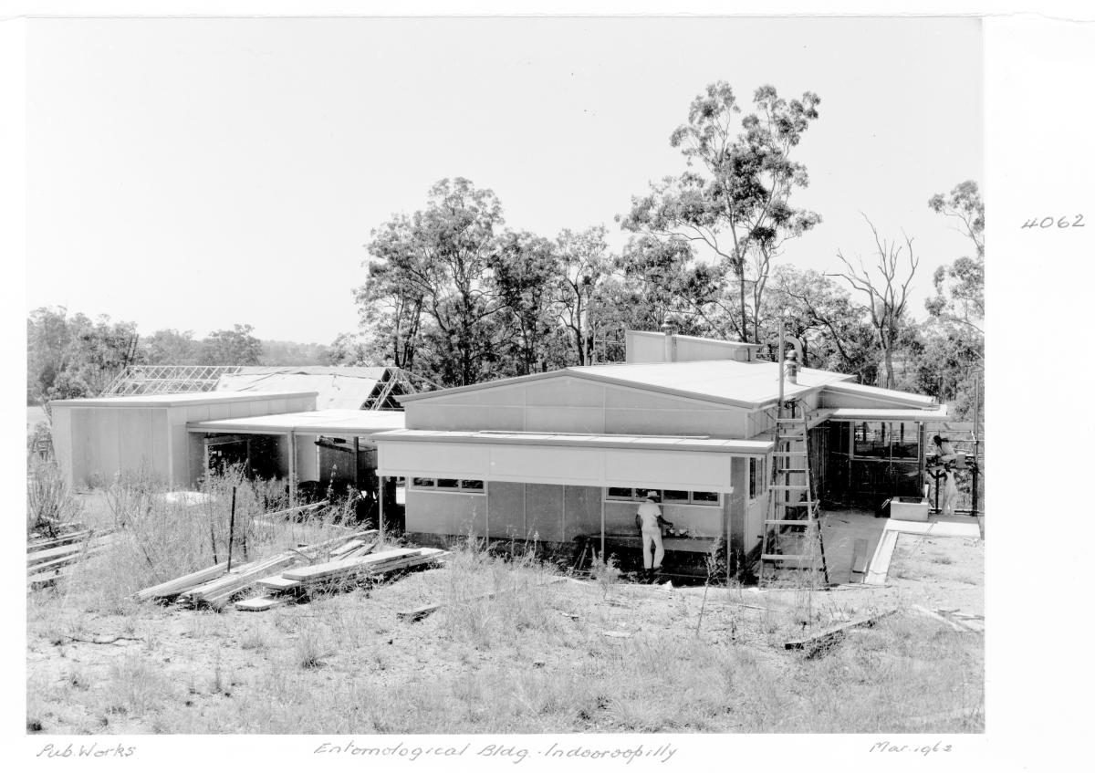 Construction of the Entomological Building at Indooroopilly - Brisbane, March 1962