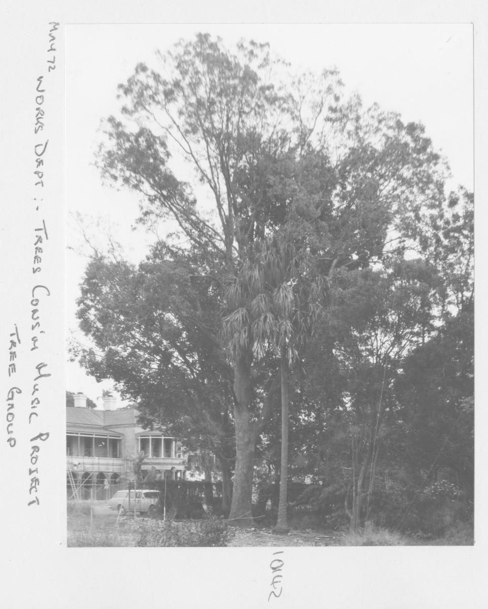 Conservatorium of Music Tree Project: Tree group - Brisbane, May 1972