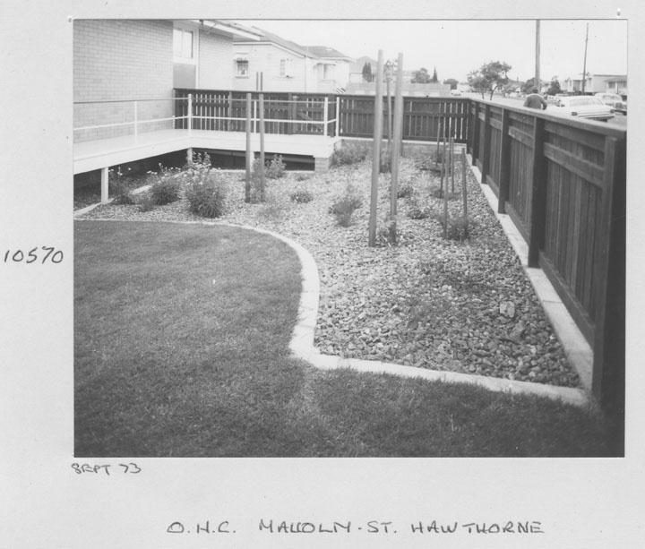Garden of Queensland Housing Commission units in Malcolm St, Hawthorn - Brisbane, September 1973