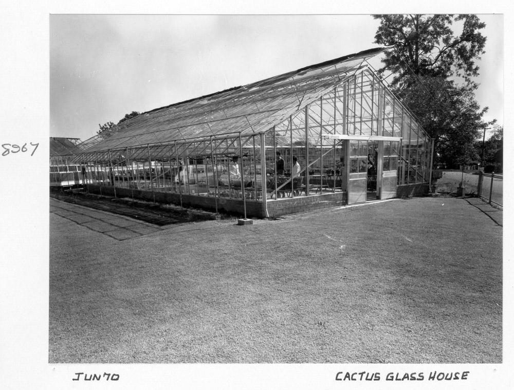 Cactus Glasshouse, Alan Fletcher Research Station, Sherwood, Brisbane, June 1970