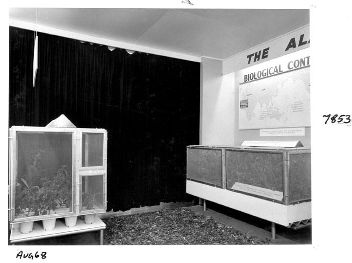 Lands Department Exhibit, Royal National Agricultural and Industrial Association of Queensland, Brisbane, August 1968