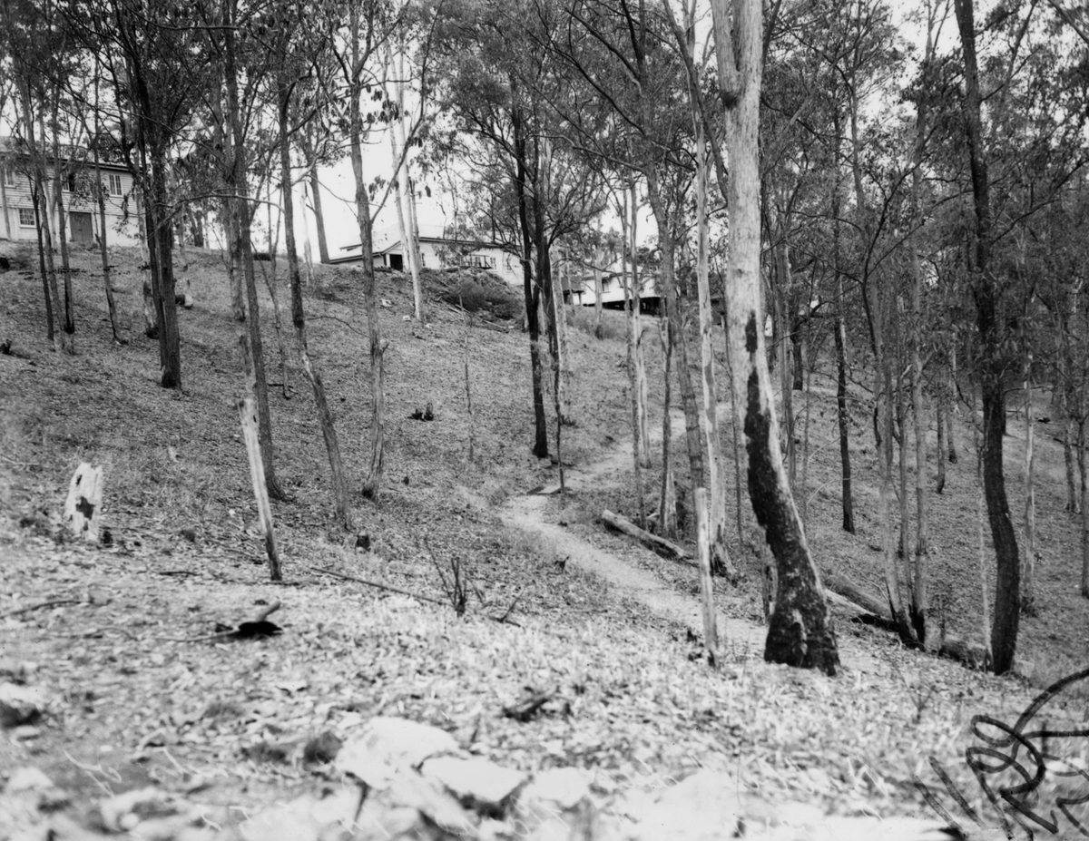 Rubbish dumped on the grounds of Government House, Bardon, 1952