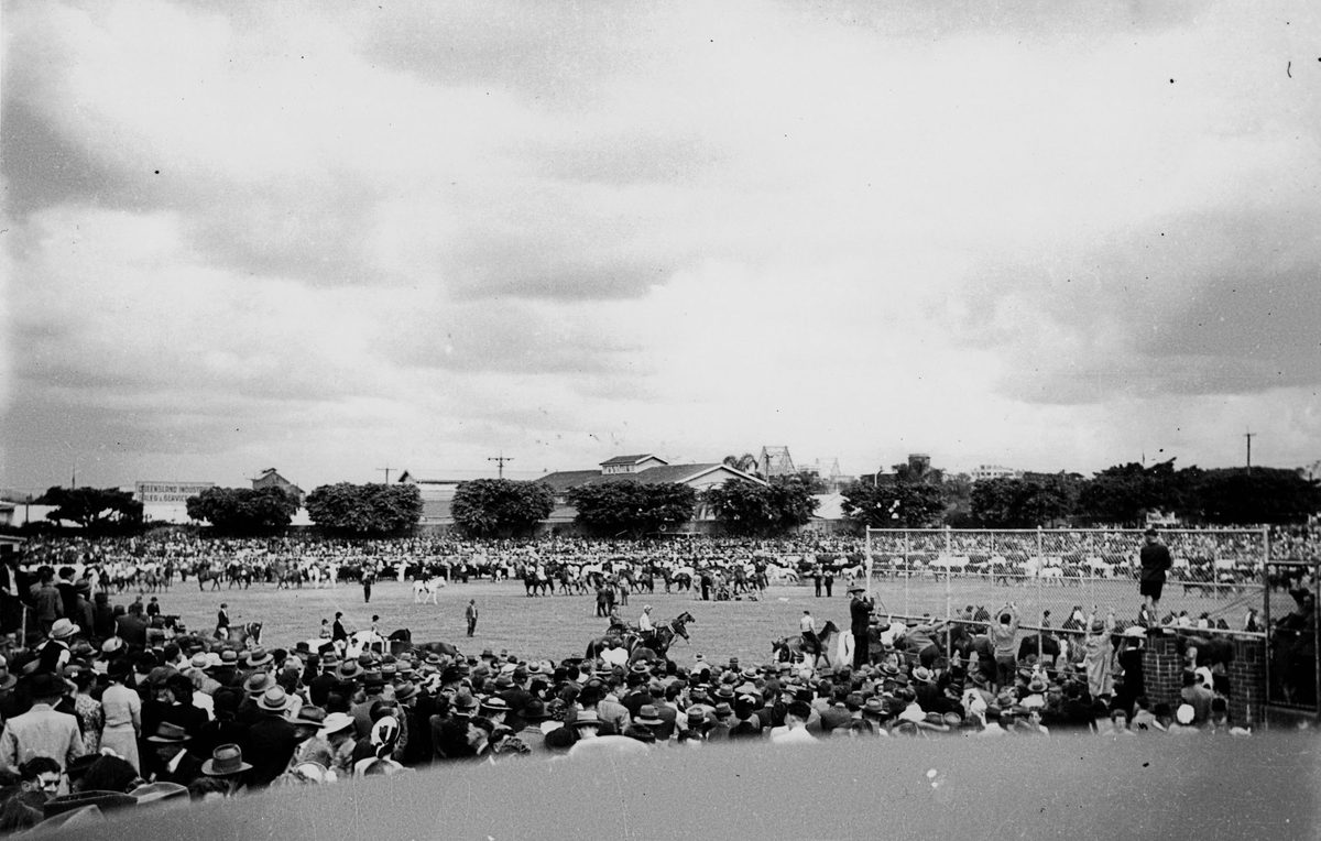 Crowds surround the main show ring to watch the parade of horses, Exhibition Ground, Brisbane, 1948