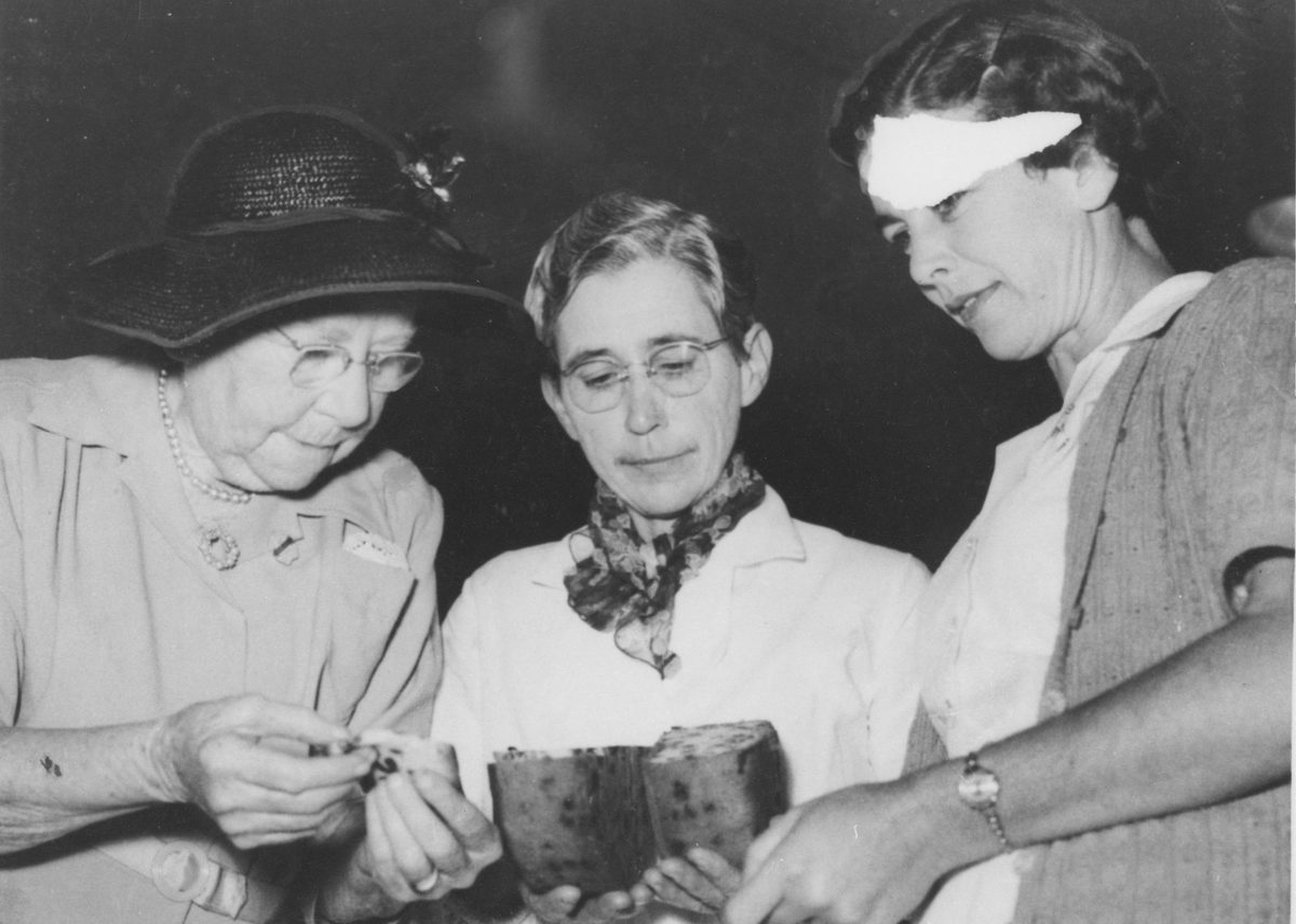 An anxious moment as the chief judge of cookery examines a fruit cake to see if it is good enough to eat, 1954