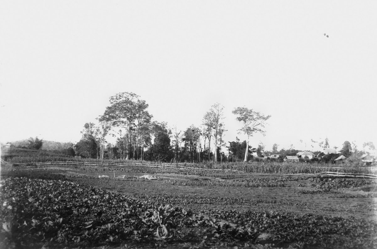 Land at Kelvin Grove