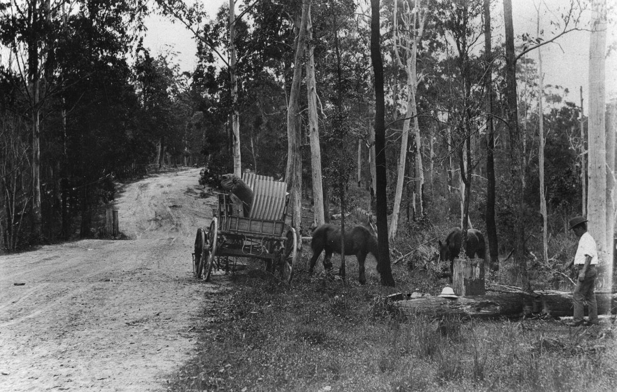Dinner camp on the Caboolture - Hopetoun Road, Queensland 1906