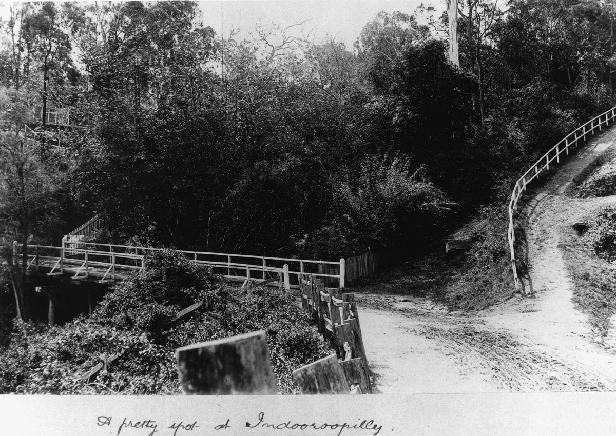 Intersection of two unsealed roads at Indooroopilly, Brisbane, 1906