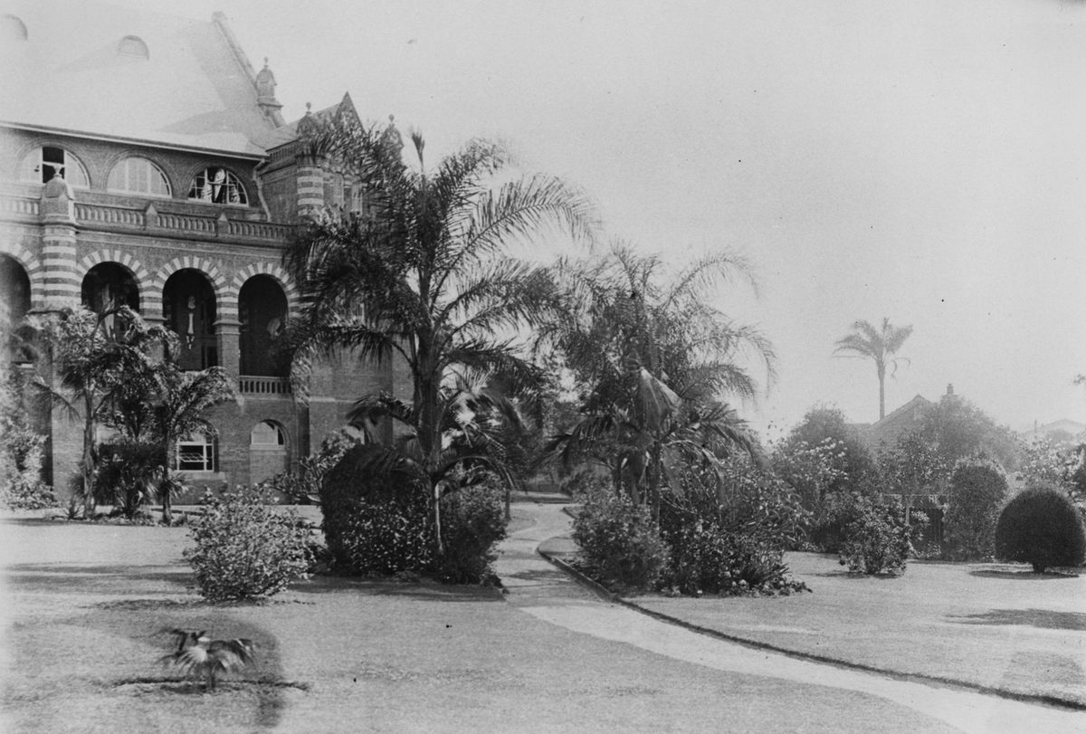 Museum gardens, Brisbane, 1906
