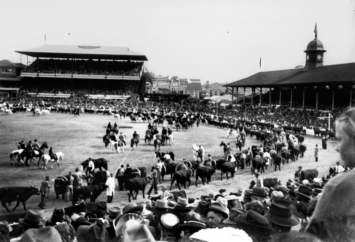 Grand Parade in the main arena of the Exhibition Ground, Brisbane, 1948