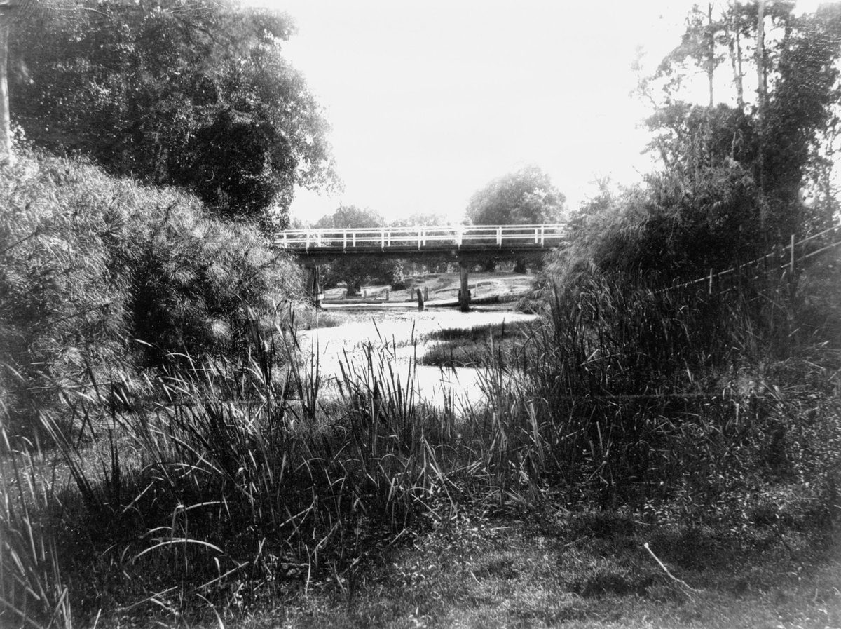 Normanby Bridge in the early morning, Kelvin Grove, Brisbane