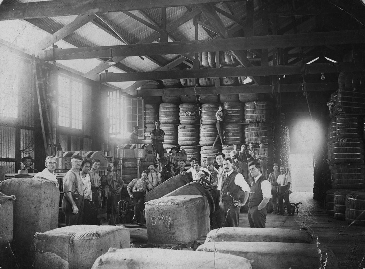 Bales of wool inside No. 1 Dumping Shed, Mercantile Wharf, Brisbane, 1917