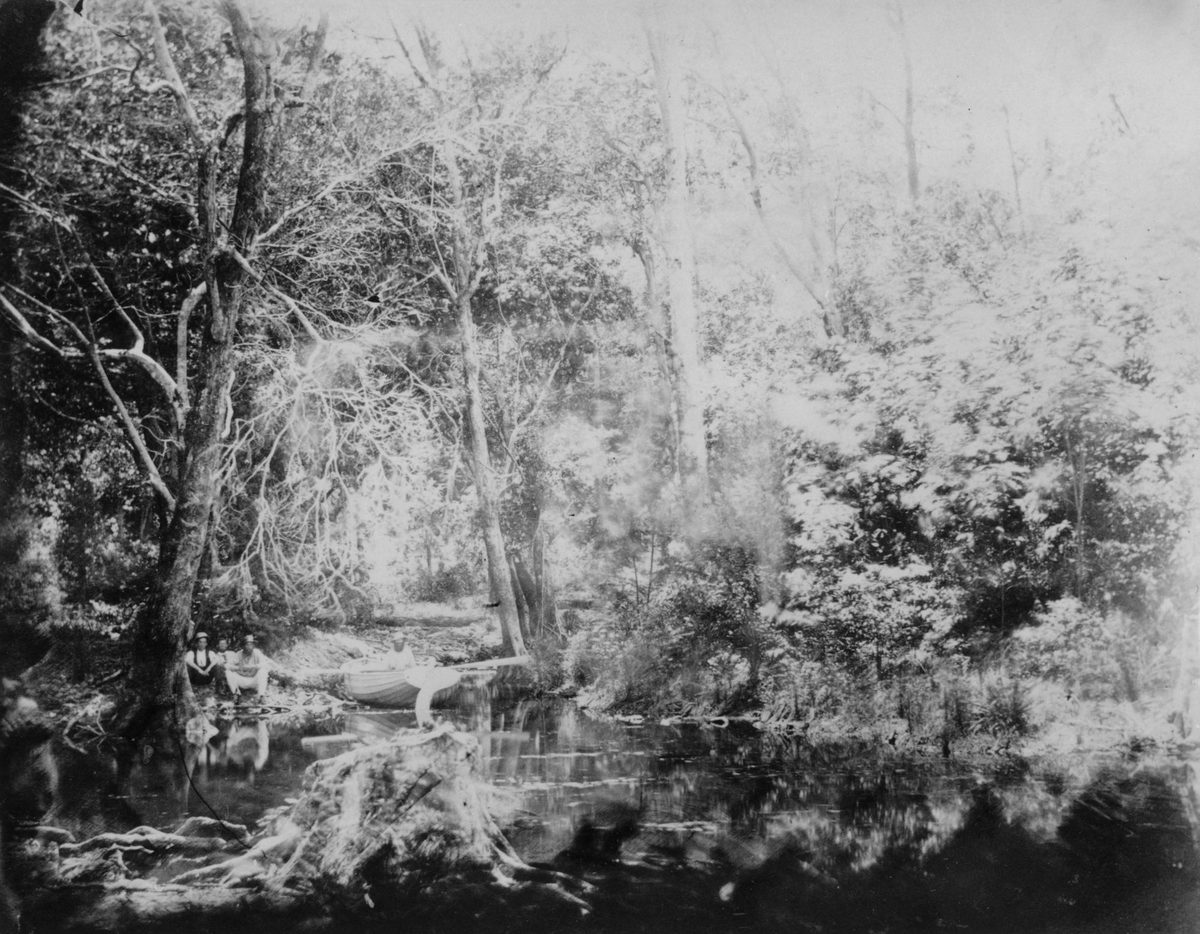 Enoggera Creek, 1869
