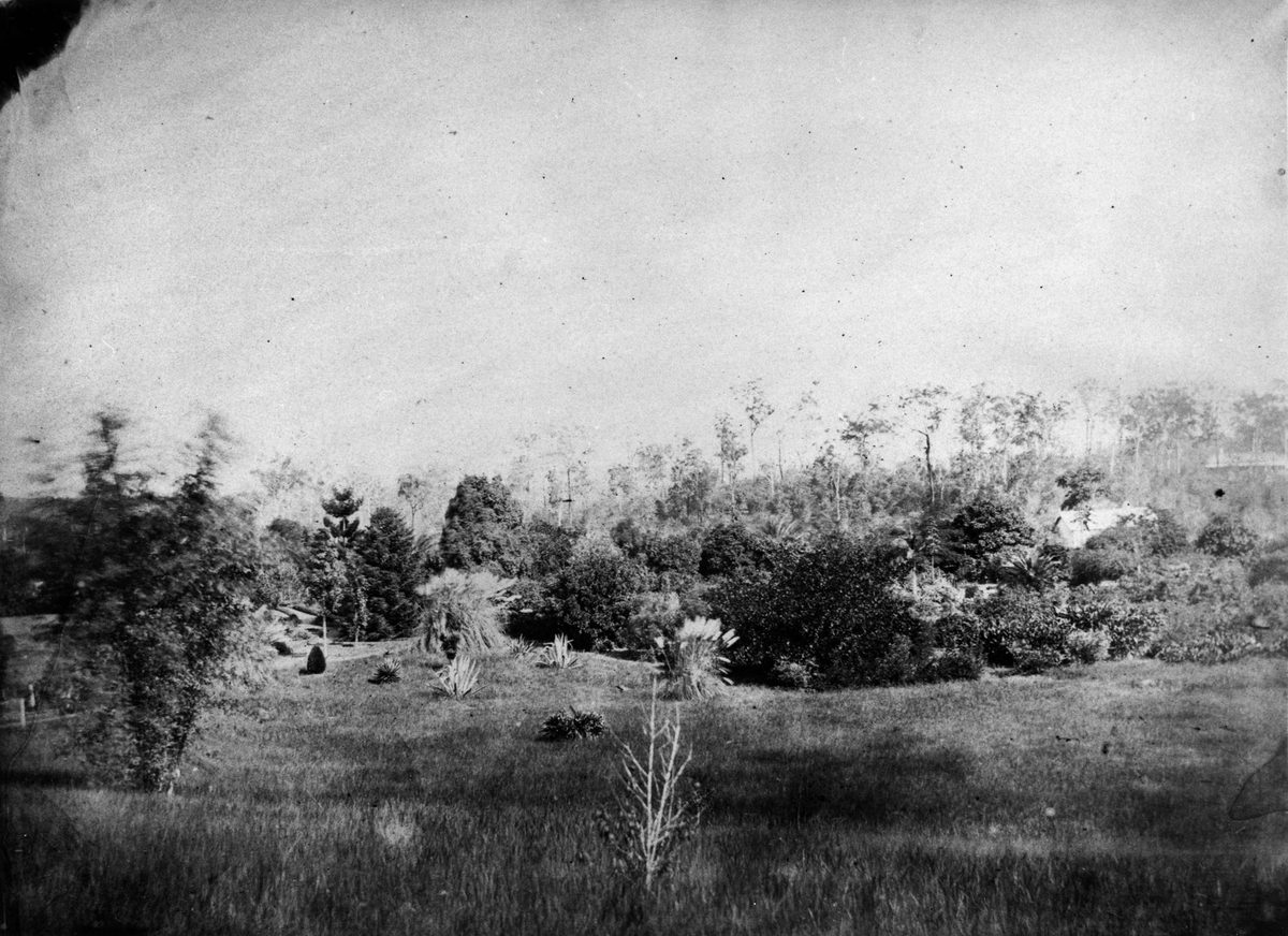 View of the gardens at Kinellan, New Farm, 1869