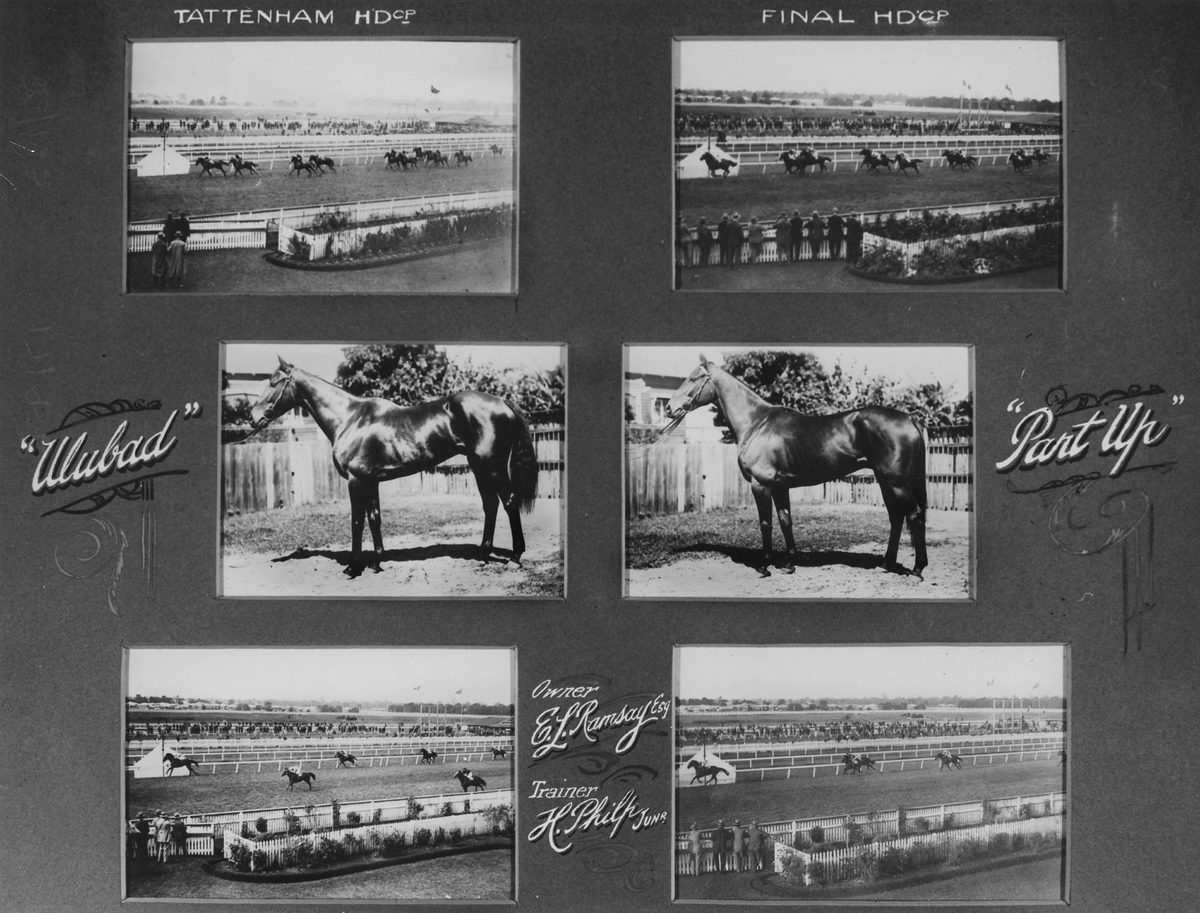 Horse racing on the racetrack in Brisbane, Queensland,1924